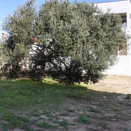 Διαμέρισμα Studio 5916b